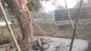 UP NEWS UPDATE :सीतापुर नीरपुर: यज्ञशाला तोड़ने का आरोप, ग्रामीणों ने प्रशासन से की पुनर्निर्माण की मांग