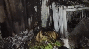 UP NEWS UPDATE :कन्नौज: फूड फैक्ट्री में शॉर्ट सर्किट से भीषण आग, 48 लाख का नुकसान