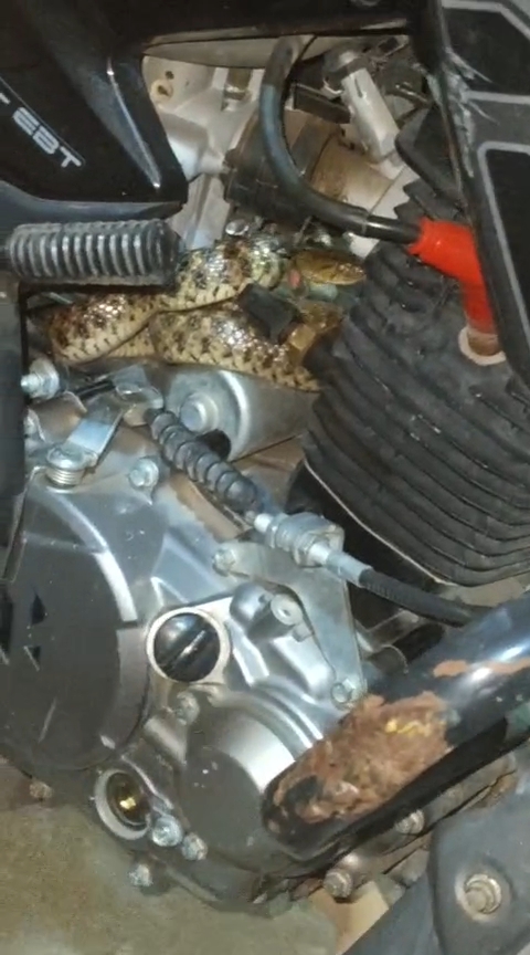 Videoshot_20260115_115658