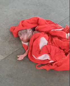 UP NEWS UPDATE :ट्रेन से नवजात फेंका: कानपुर प्लेटफॉर्म-2 पर महिला फरार