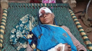 UP NEWS UPDATE :कन्नौज: स्कूली वैन ने मारी बकरियों के झुंड को टक्कर – 6 मरीं, 19 घायल!